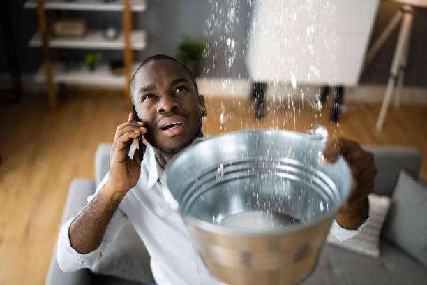 Best 24/7 water damage repair  in Latta, SC