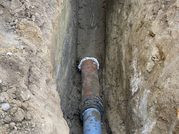 Best Sewage cleanup and water damage restoration  in Latta, SC