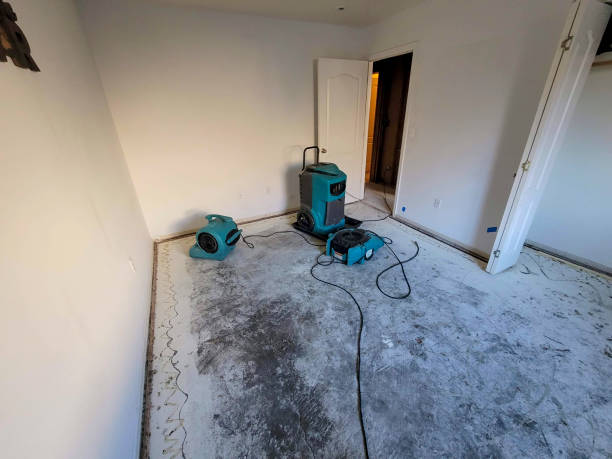 Best Water damage contractors near me  in Latta, SC