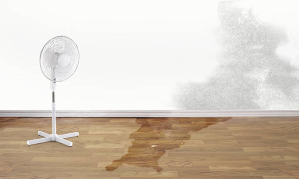 Best Water damage restoration near me  in Latta, SC