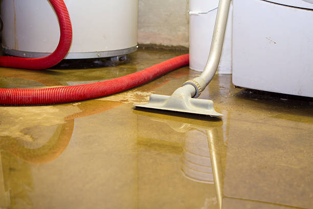 Best Water damage restoration services  in Latta, SC
