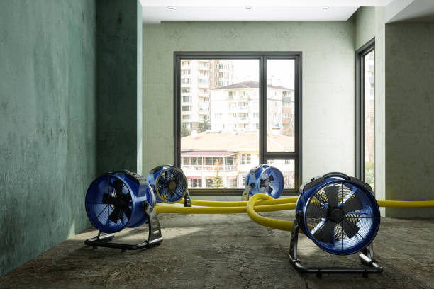 Best Residential water damage restoration  in Latta, SC