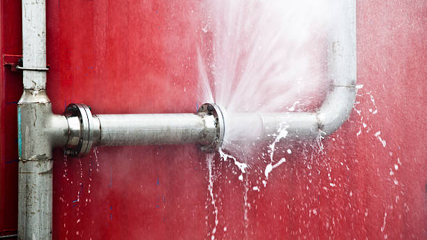 Best Carpet water damage restoration  in Latta, SC